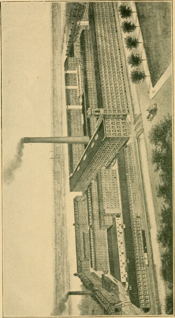 An illustration from From wool to cloth, 1904, leaf 3