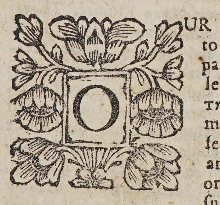 An illustration from A full and exact collection of all the considerable addresses, memorials, petitions, answers, proclamations, declarations, letters and other publick papers, relating to the Company of Scotland Trading to Africa and the Indies, since the passing of the act of Parliament, by which the said company was established in June 1695, till November 1700. : Together with a short preface (including the act itself) as also a table of the whole contents., 1700, leaf 11