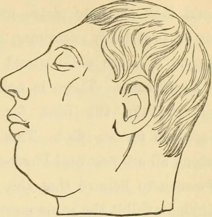 An illustration from The fundamental principles of phrenology are the only principles capable of being reconciled with the immateriality and immortality of the soul, 1868, leaf 475
