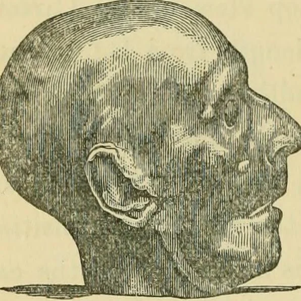 An illustration from The fundamental principles of phrenology are the only principles capable of being reconciled with the immateriality and immortality of the soul, 1868, leaf 484