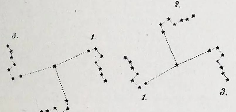 An illustration from The fundamental principles of Old and New World civilizations : a comparative research based on a study of the ancient Mexican religious, sociological and calendrical systems, 1901, leaf 31