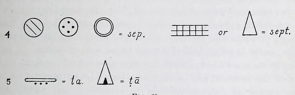 An illustration from The fundamental principles of Old and New World civilizations : a comparative research based on a study of the ancient Mexican religious, sociological and calendrical systems, 1901, leaf 375