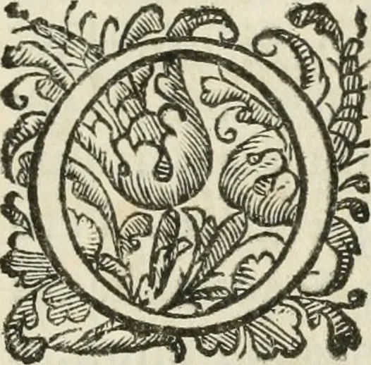 An illustration from Funerale della signora Sitti Maani Gioerida della Valle. Celebrato in Roma l'anno 1627, 1627, leaf 122