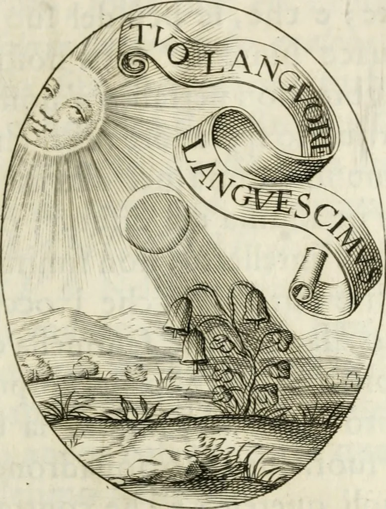 An illustration from Funerali nella morte dell'ill.mo et r.mo sig. card.le Horatio Spinola arciuescouo di Genoua, 1616, leaf 132