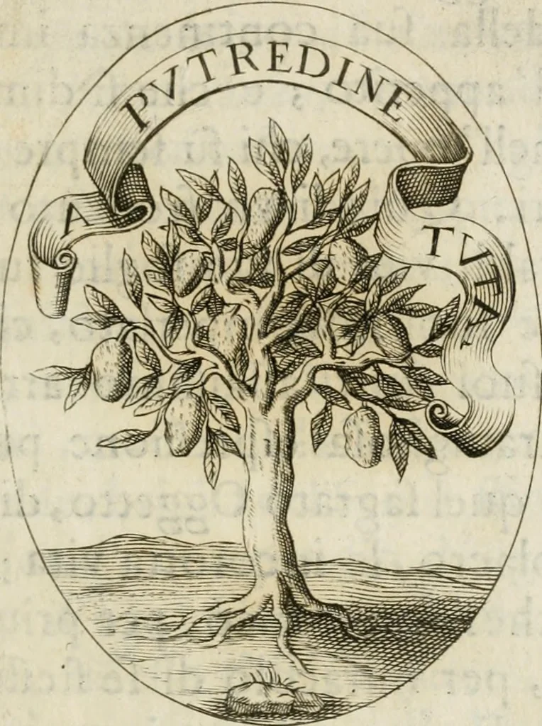 An illustration from Funerali nella morte dell'ill.mo et r.mo sig. card.le Horatio Spinola arciuescouo di Genoua, 1616, leaf 30