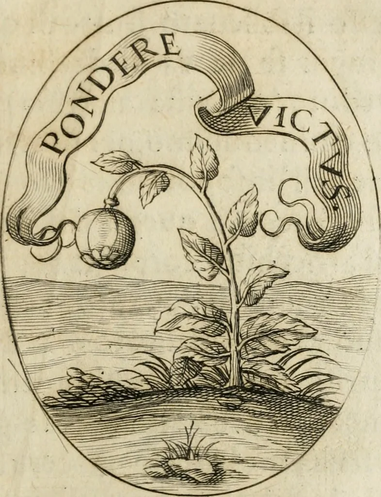 An illustration from Funerali nella morte dell'ill.mo et r.mo sig. card.le Horatio Spinola arciuescouo di Genoua, 1616, leaf 58