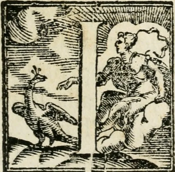 An illustration from Funerali nella morte dell'ill.mo et r.mo sig. card.le Horatio Spinola arciuescouo di Genoua, 1616, leaf 66
