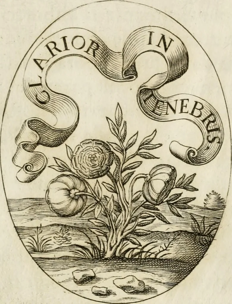 An illustration from Funerali nella morte dell'ill.mo et r.mo sig. card.le Horatio Spinola arciuescouo di Genoua, 1616, leaf 98