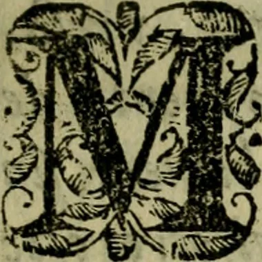 An illustration from Funeral pompa y solemnidad en las exequias a la muerte de la catholica y serenissima reyna madre d. Mariana de Austria nuestra señora : que celebro en la iglesia metropolitana de Lima el exc.mo señor d. Melchor Portocarrero Lasso de la Vega, conde de la Monclova ... virrey governador, y capitan general de estos reynos y provincias del Perù tierra-firme, y Chile, &c, 1697, leaf 40
