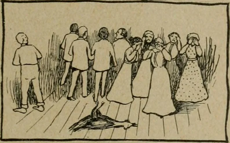 An illustration from Fun for doctors and their patients; fifty authentic ghost stories by fifty experienced physicians, 1901, leaf 89