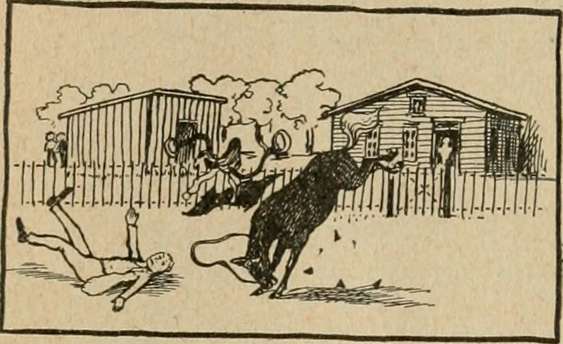 An illustration from Fun for doctors and their patients; fifty authentic ghost stories by fifty experienced physicians, 1901, leaf 90