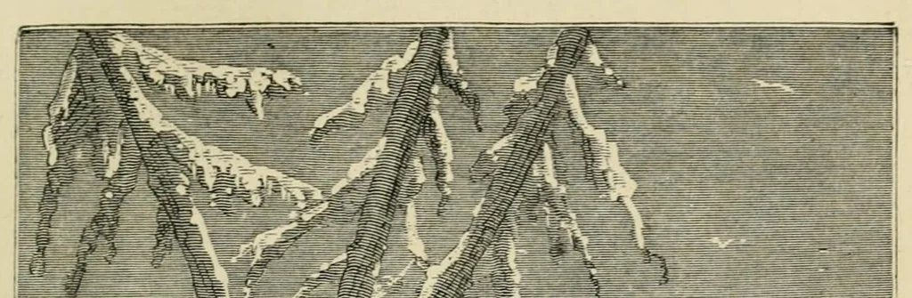 An illustration from The fur country; or, Seventy degrees north latitude;, 1874, leaf 69