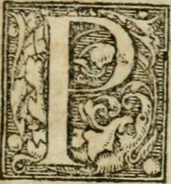 An illustration from Furni novi philosophici, sive, Descriptio artis destillatoriae novae : nec non spirituum, oleorum, florum, aliorumque medicamentorum illius beneficio, facilimâ quâdam & peculiari viâ è vegetabilibus, animalibus & mineralibus, conficiendorum & quidem magno cum lucro; agens quoque de illorum usu tàm chymico quàm medico, 1651, leaf 232