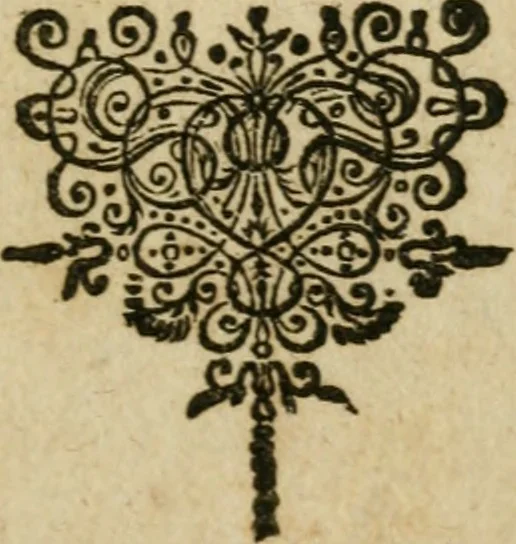 An illustration from Furni novi philosophici, sive, Descriptio artis destillatoriae novae : nec non spirituum, oleorum, florum, aliorumque medicamentorum illius beneficio, facilimâ quâdam & peculiari viâ è vegetabilibus, animalibus & mineralibus, conficiendorum & quidem magno cum lucro; agens quoque de illorum usu tàm chymico quàm medico, 1651, leaf 372