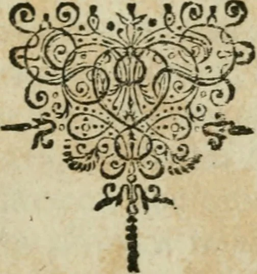An illustration from Furni novi philosophici, sive, Descriptio artis destillatoriae novae : nec non spirituum, oleorum, florum, aliorumque medicamentorum illius beneficio, facilimâ quâdam & peculiari viâ è vegetabilibus, animalibus & mineralibus, conficiendorum & quidem magno cum lucro; agens quoque de illorum usu tàm chymico quàm medico, 1651, leaf 376