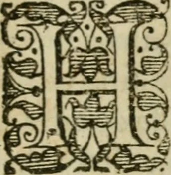 An illustration from Furni novi philosophici, sive, Descriptio artis destillatoriae novae : nec non spirituum, oleorum, florum, aliorumque medicamentorum illius beneficio, facilimâ quâdam & peculiari viâ è vegetabilibus, animalibus & mineralibus, conficiendorum & quidem magno cum lucro; agens quoque de illorum usu tàm chymico quàm medico, 1651, leaf 378