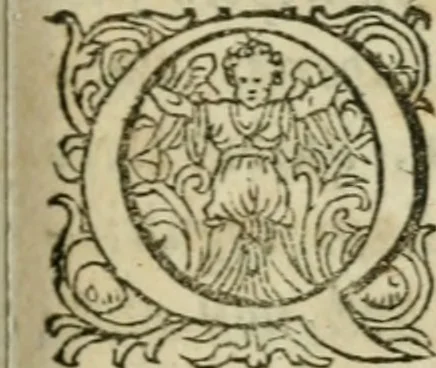 An illustration from Furni novi philosophici, sive, Descriptio artis destillatoriae novae : nec non spirituum, oleorum, florum, aliorumque medicamentorum illius beneficio, facilimâ quâdam & peculiari viâ è vegetabilibus, animalibus & mineralibus, conficiendorum & quidem magno cum lucro; agens quoque de illorum usu tàm chymico quàm medico, 1651, leaf 434