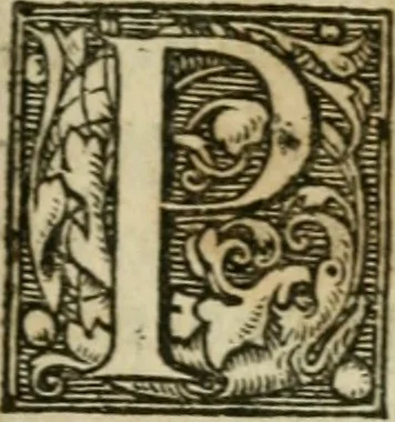 An illustration from Furni novi philosophici, sive, Descriptio artis destillatoriae novae : nec non spirituum, oleorum, florum, aliorumque medicamentorum illius beneficio, facilimâ quâdam & peculiari viâ è vegetabilibus, animalibus & mineralibus, conficiendorum & quidem magno cum lucro; agens quoque de illorum usu tàm chymico quàm medico, 1651, leaf 438