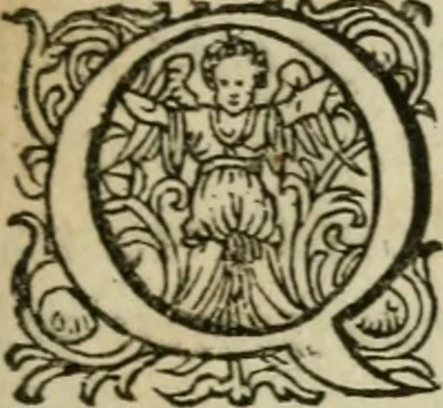 An illustration from Furni novi philosophici, sive, Descriptio artis destillatoriae novae : nec non spirituum, oleorum, florum, aliorumque medicamentorum illius beneficio, facilimâ quâdam & peculiari viâ è vegetabilibus, animalibus & mineralibus, conficiendorum & quidem magno cum lucro; agens quoque de illorum usu tàm chymico quàm medico, 1651, leaf 6
