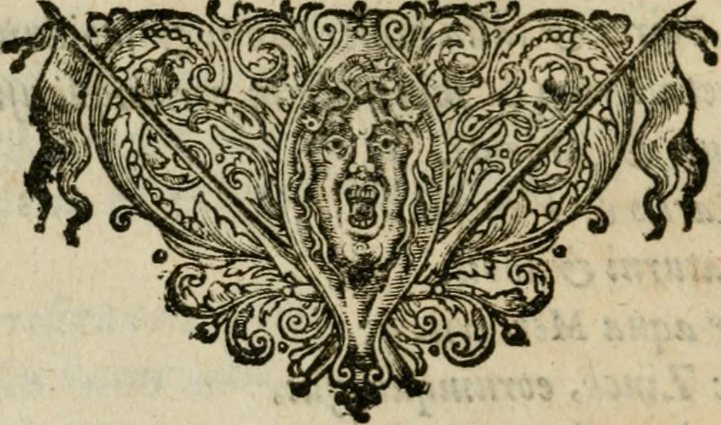 An illustration from Furni novi philosophici, sive, Descriptio artis destillatoriae novae : nec non spirituum, oleorum, florum, aliorumque medicamentorum illius beneficio, facilimâ quâdam & peculiari viâ è vegetabilibus, animalibus & mineralibus, conficiendorum & quidem magno cum lucro; agens quoque de illorum usu tàm chymico quàm medico, 1651, leaf 73