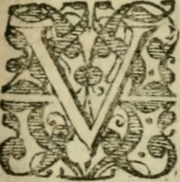 An illustration from Furni novi philosophici, sive, Descriptio artis destillatoriae novae : nec non spirituum, oleorum, florum, aliorumque medicamentorum illius beneficio, facilimâ quâdam & peculiari viâ è vegetabilibus, animalibus & mineralibus, conficiendorum & quidem magno cum lucro; agens quoque de illorum usu tàm chymico quàm medico, 1651, leaf 80