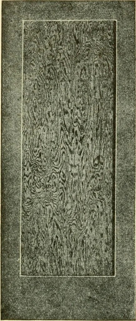 An illustration from Furnishings for the home., 1917, leaf 147