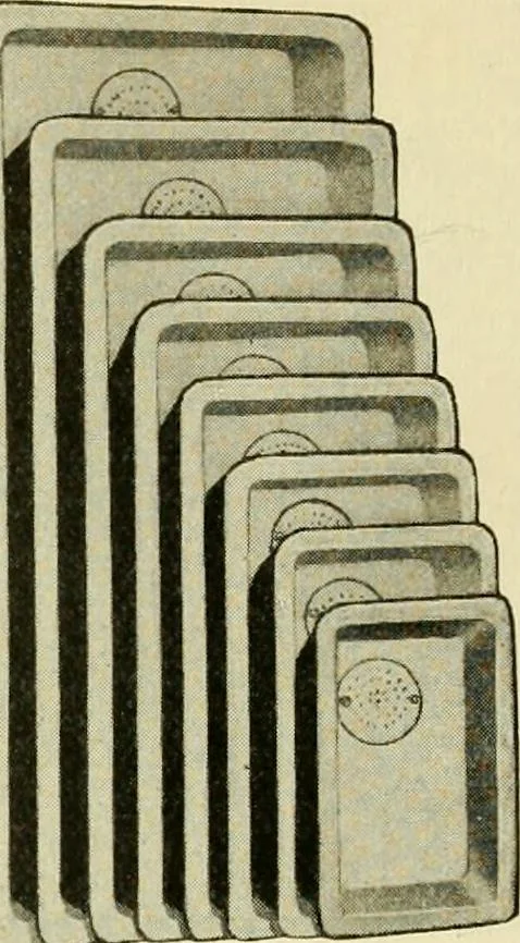 An illustration from Furnishings for the home., 1917, leaf 87