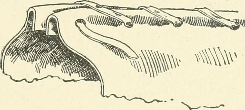 An illustration from Furniture for the craftsman; a manual for the student and machanic, 1914, leaf 164