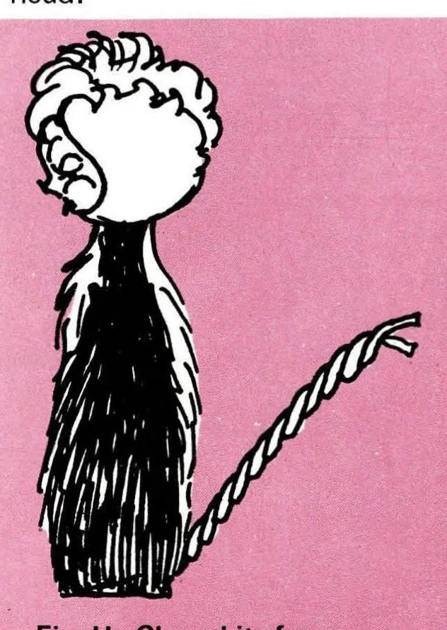 An illustration from You Can Make Furry Novelties, 1971, leaf 16