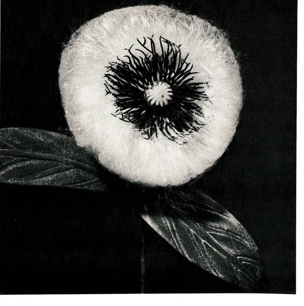 An illustration from You Can Make Furry Novelties, 1971, leaf 9