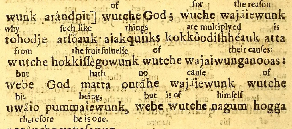 An illustration from A further accompt of the progresse of the gospel amongst the Indians in New-England, and of the means used effectually to advance the same. : Set forth in certaine letters sent from thence declaring a purpose of printing the Scriptures in the Indian tongue into which they are already translated. With which letters are likewise sent an epitome of some exhortations delivered by the Indians at a fast, as testimonies of their obedience to the gospell. As also Some helps directing the Indians how to improve naturall reason unto the knowledge of the true God, 1659, leaf 48