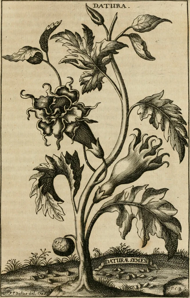An illustration from Fürtreffliches Denck-Mahl der göttlichen Regierung bewiesen an der uhralten höchst-berühmten Antiquität des Klosters zu S. Michaëlis in Lüneburg, der in dem hohen Alter daselbst gestandenen güldenen Taffel, und anderer Kostbarkeiten : wie der gerechte Gott dero Räuber gantz wunderbarlich entdecket, zugleich viele begangene zuvor gantz unerforschliche Kirchen-Räubereyen und Diebstähle ans licht gebracht ..., 1700, leaf 342