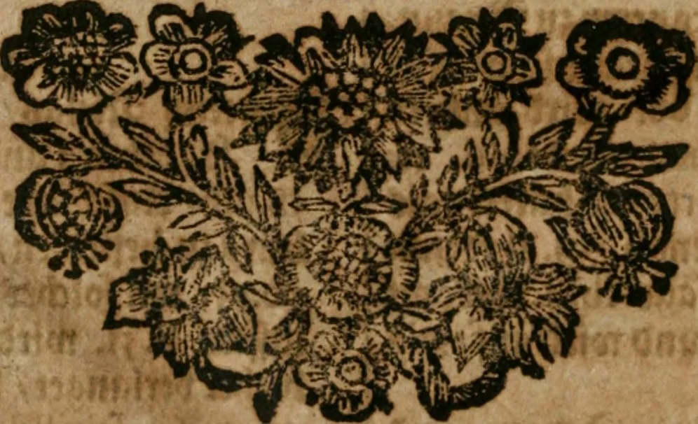 An illustration from Fürtreffliches Denck-Mahl der göttlichen Regierung bewiesen an der uhralten höchst-berühmten Antiquität des Klosters zu S. Michaëlis in Lüneburg, der in dem hohen Alter daselbst gestandenen güldenen Taffel, und anderer Kostbarkeiten : wie der gerechte Gott dero Räuber gantz wunderbarlich entdecket, zugleich viele begangene zuvor gantz unerforschliche Kirchen-Räubereyen und Diebstähle ans licht gebracht ..., 1700, leaf 395