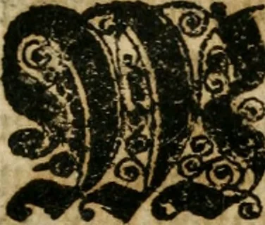 An illustration from Fürtreffliches Denck-Mahl der göttlichen Regierung bewiesen an der uhralten höchst-berühmten Antiquität des Klosters zu S. Michaëlis in Lüneburg, der in dem hohen Alter daselbst gestandenen güldenen Taffel, und anderer Kostbarkeiten : wie der gerechte Gott dero Räuber gantz wunderbarlich entdecket, zugleich viele begangene zuvor gantz unerforschliche Kirchen-Räubereyen und Diebstähle ans licht gebracht ..., 1700, leaf 8