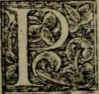 An illustration from Fvndamentvm firvm, cvi tvto fidelis qvivis inniti potest, hoc praesertim difficili seculo, quo dissidijs doctorumq́; auduersarijs scriptis omnia conturbata sunt, positum ad institutionem & consolationem simplicium, per Heinrychum Bullingerum Tigurinae ecclesiae ministrum. In hoc libro respondetur etiam breuiter & simpliciter libro D. Ioannis Brentii, nuper contra D. Petrum Martyrem & Heinrychum Bullingerum, De Maiestate Domini nostri Iesu Christi ad dexterm Dei Patris, edito.., 1563, leaf 107