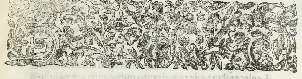 An illustration from Fvnerale fatto nel Dvomo di Torino alla gloriosa memoria dell'invittissimo, e potentissimo prencipe Vittorio Amedeo : duca di Sauoia, prencipe di Piemonte, rè di Cipri, &c. : dalle Altezze Reali di madama Christiana di Francia sva moglie, e del serenissimo dvca Francesco Giacinto sva primogenito, alli 18. di decembre M.DC.XXXVII, 1638, leaf 13