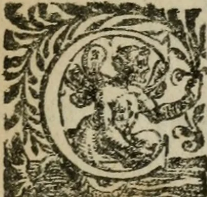 An illustration from Fvrio Camillo, 1623, leaf 116