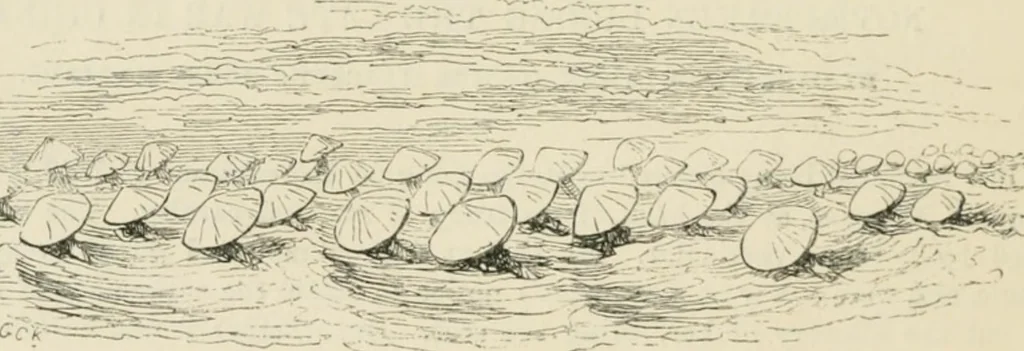 An illustration from George Cruikshank's Table-book, 1869, leaf 109