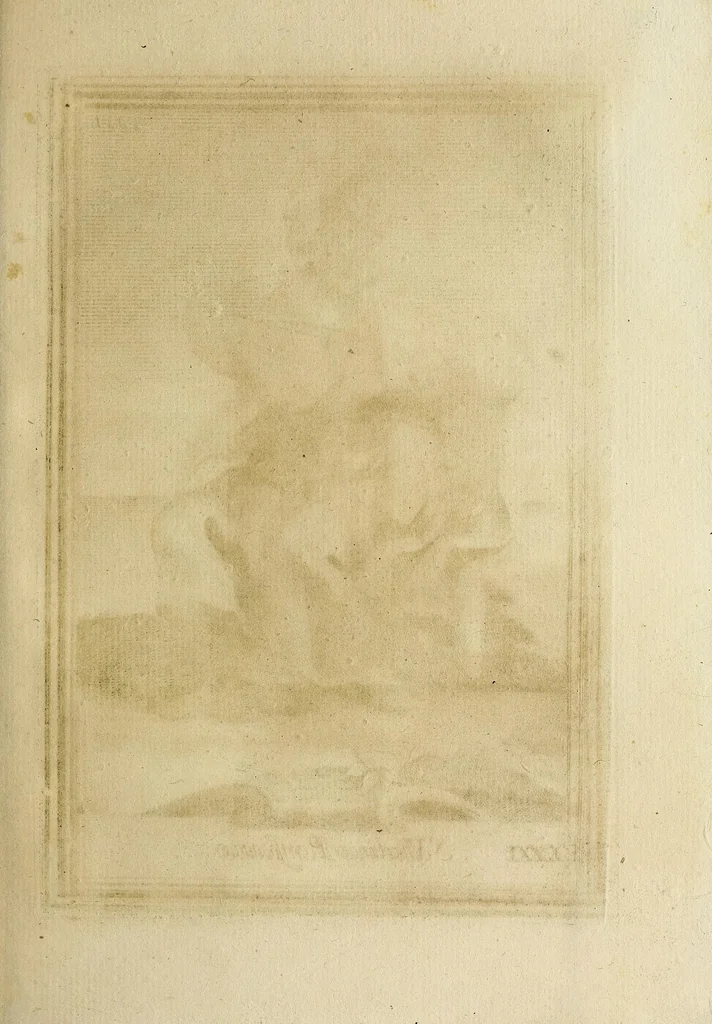 An illustration from Gabinetto armonico pieno d'istromenti sonori, 1722, leaf 283