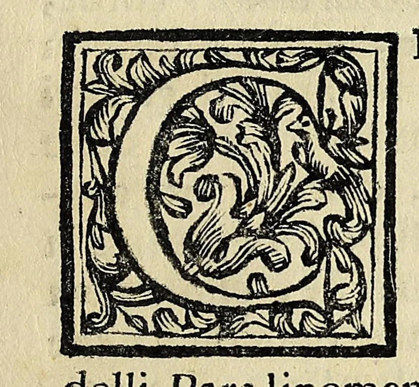 An illustration from Gabinetto armonico pieno d'istromenti sonori, 1722, leaf 35