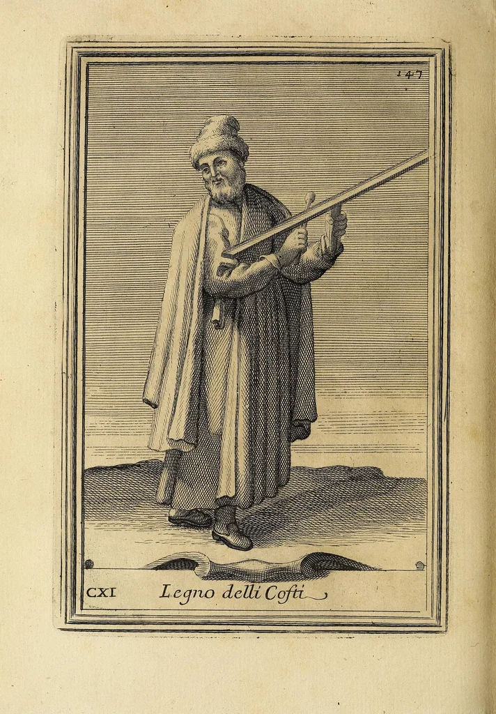 An illustration from Gabinetto armonico pieno d'istromenti sonori, 1722, leaf 404