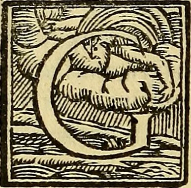 An illustration from Gabrielis Falloppii De medicatis aquis atque de fossilibus tractatus pulcherrimus, ac maxime utilis, 1569, leaf 17