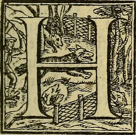 An illustration from Gabrielis Falloppii De medicatis aquis atque de fossilibus tractatus pulcherrimus, ac maxime utilis, 1569, leaf 68