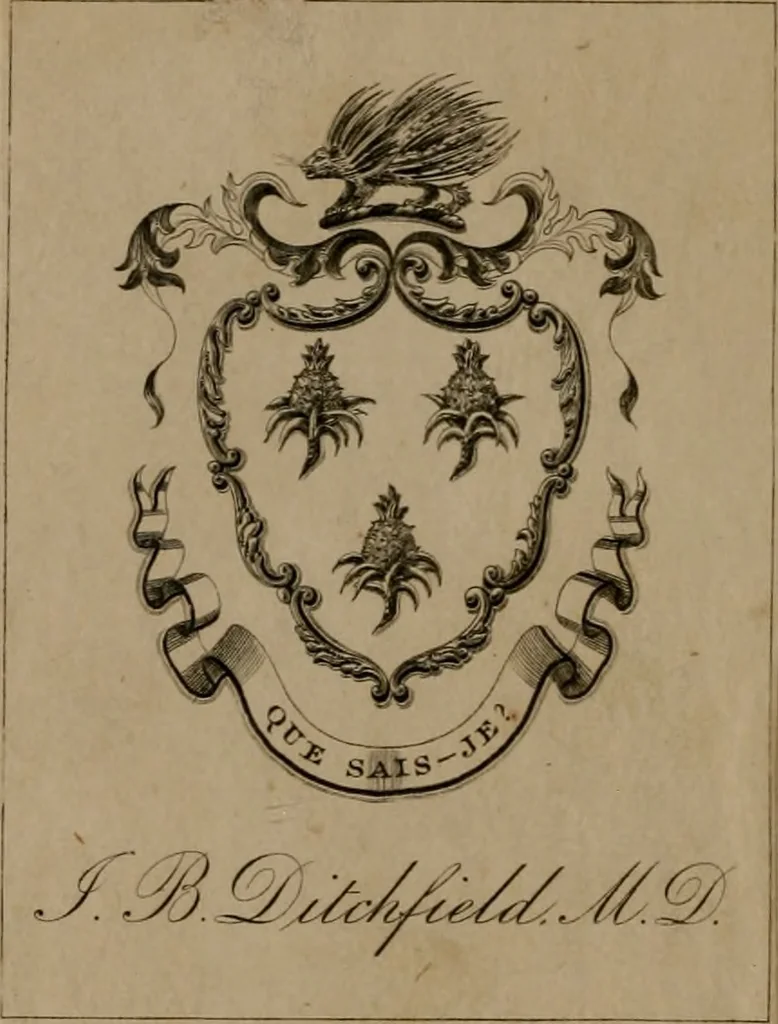 An illustration from Gabrielis Rollenhagii Selectorum emblematum centuria secunda, 1613, leaf 1