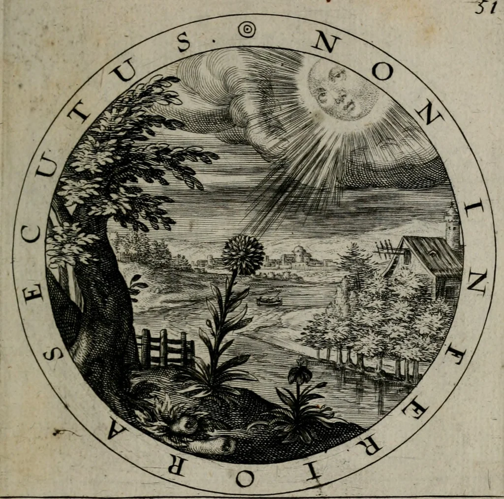 An illustration from Gabrielis Rollenhagii Selectorum emblematum centuria secunda, 1613, leaf 124