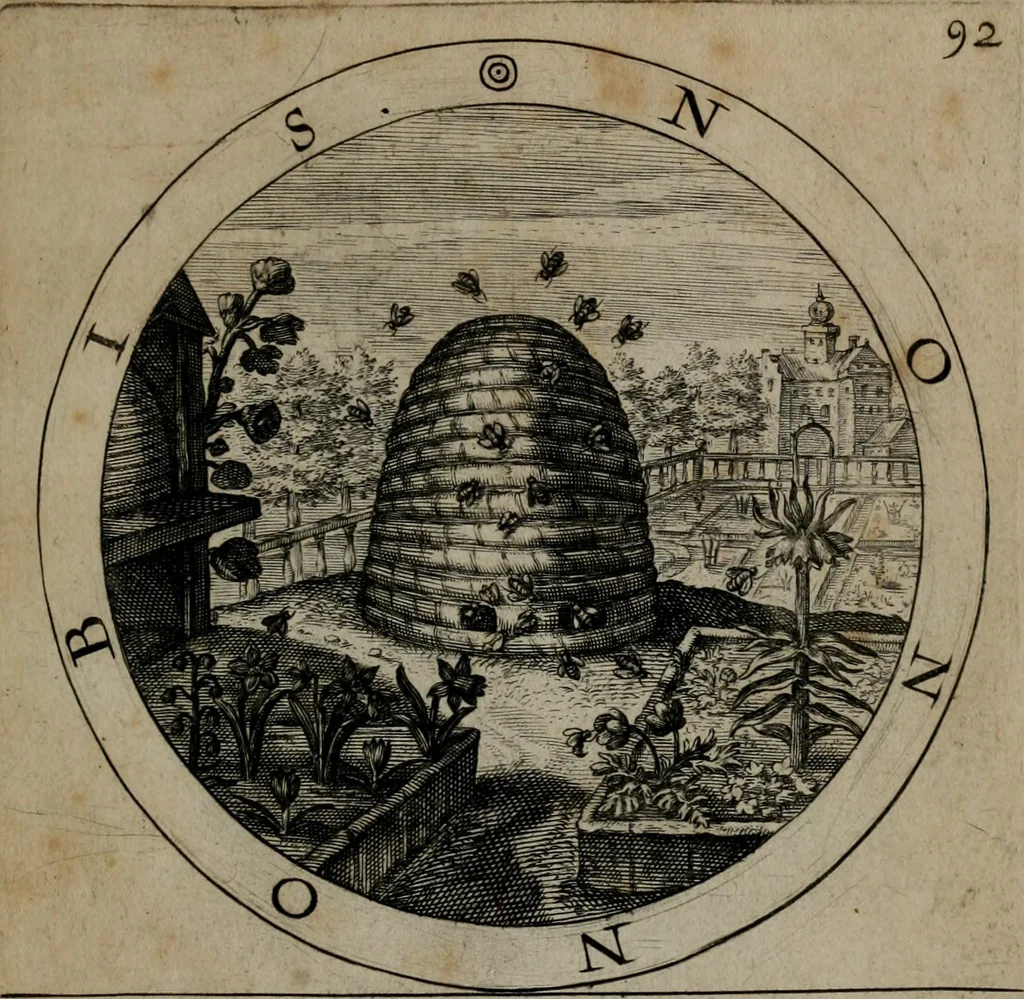 An illustration from Gabrielis Rollenhagii Selectorum emblematum centuria secunda, 1613, leaf 204