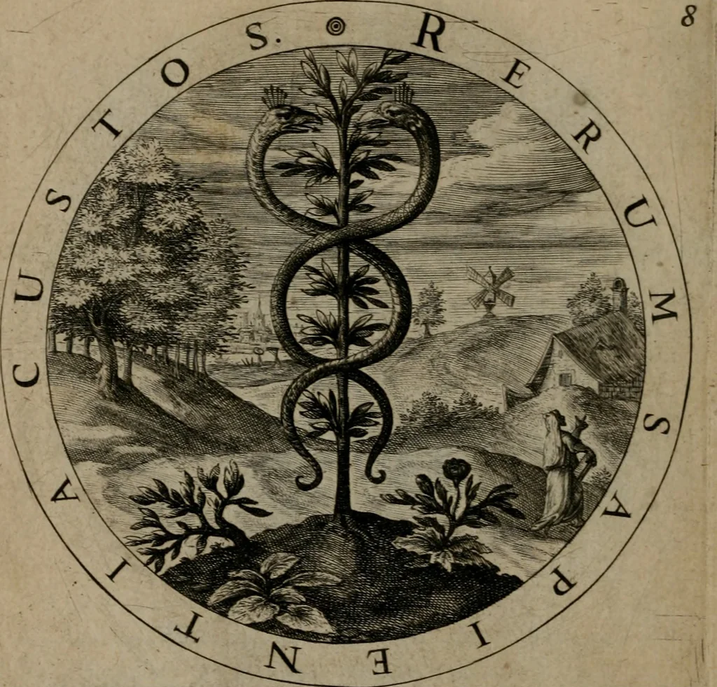 An illustration from Gabrielis Rollenhagii Selectorum emblematum centuria secunda, 1613, leaf 47