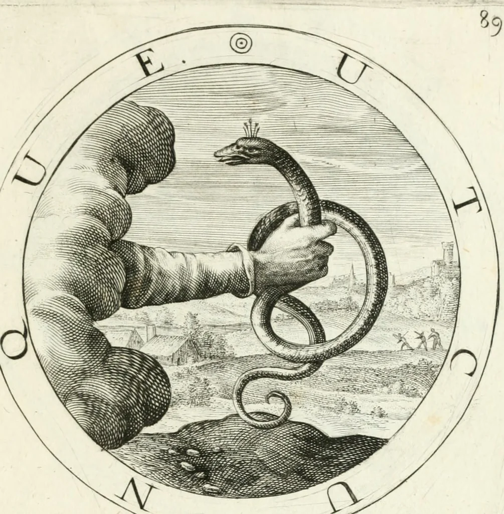 An illustration from Gabrielis Rollenhagii Selectorum emblematum centuria secunda, 1613, leaf 204