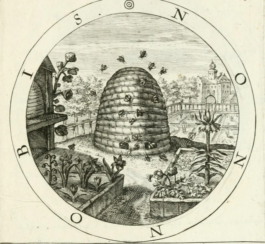 An illustration from Gabrielis Rollenhagii Selectorum emblematum centuria secunda, 1613, leaf 210