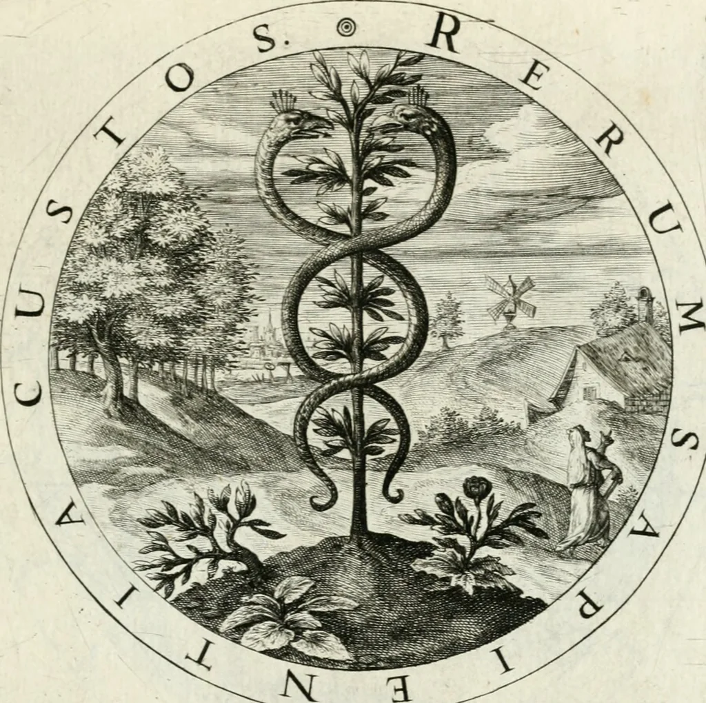 An illustration from Gabrielis Rollenhagii Selectorum emblematum centuria secunda, 1613, leaf 42